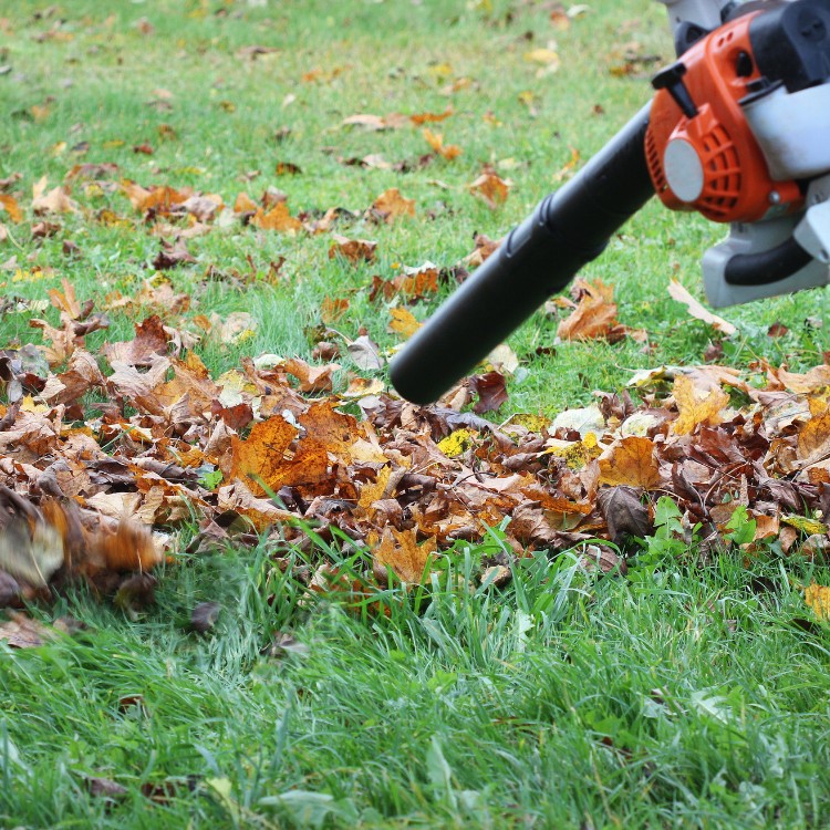 Lawn care services in Burke County, NC