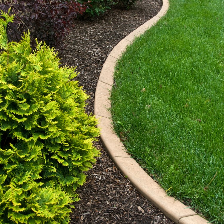Lawn care services in Burke County, NC