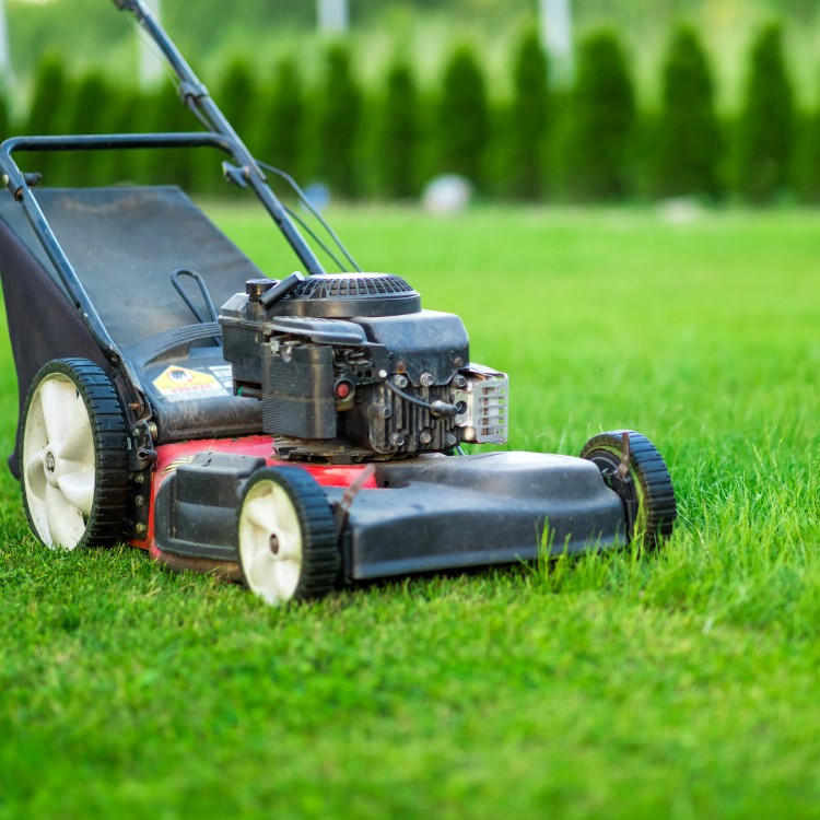 Lawn care services in Burke County, NC