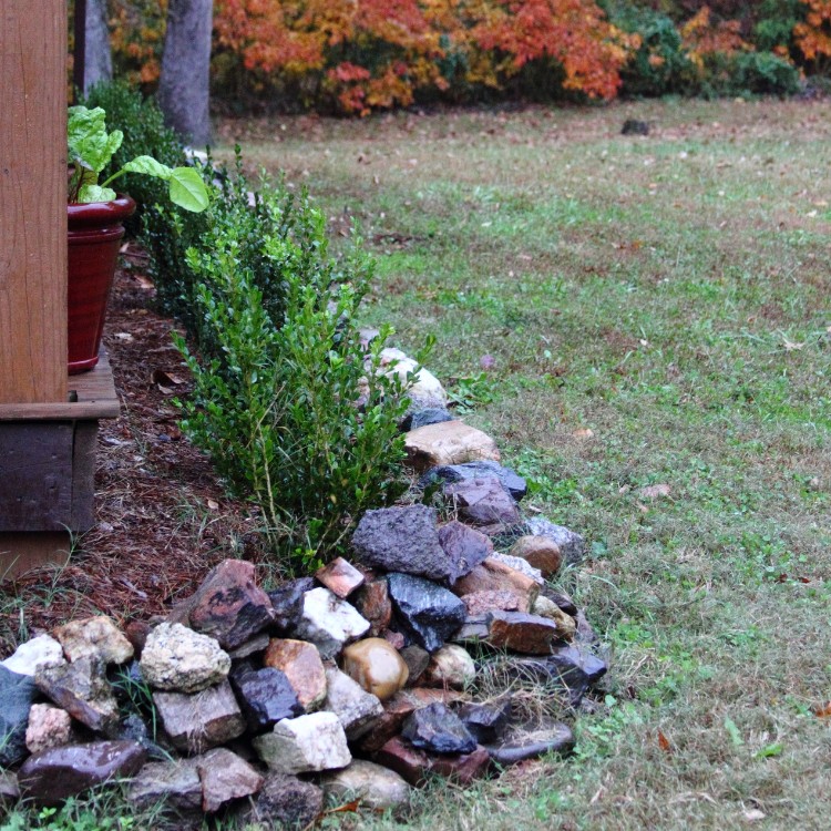 Lawn care services in Burke County, NC