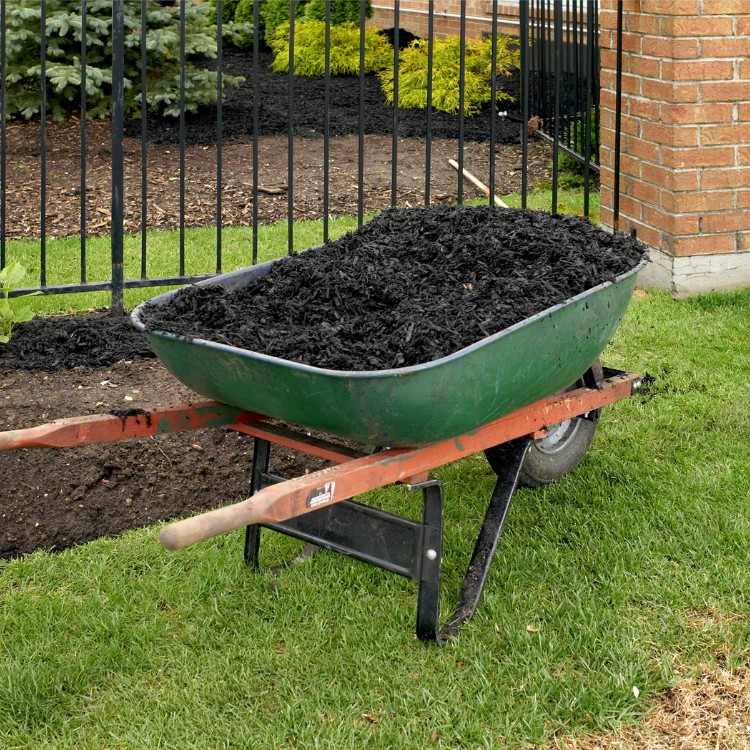 Lawn care services in Burke County, NC