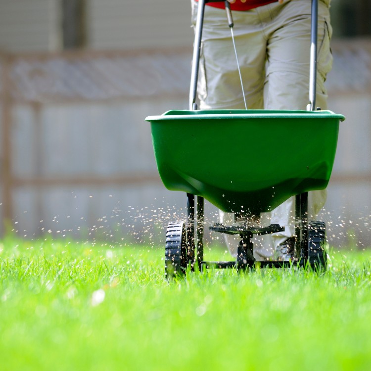 Lawn care services in Burke County, NC
