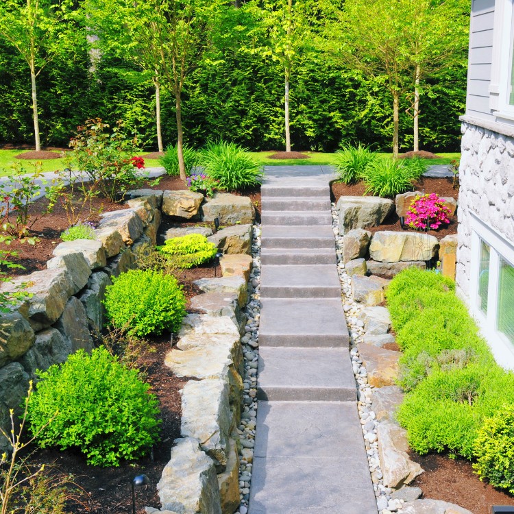 Lawn care services in Burke County, NC