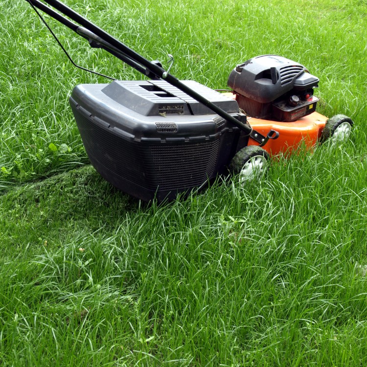 Lawn care services in Burke County, NC