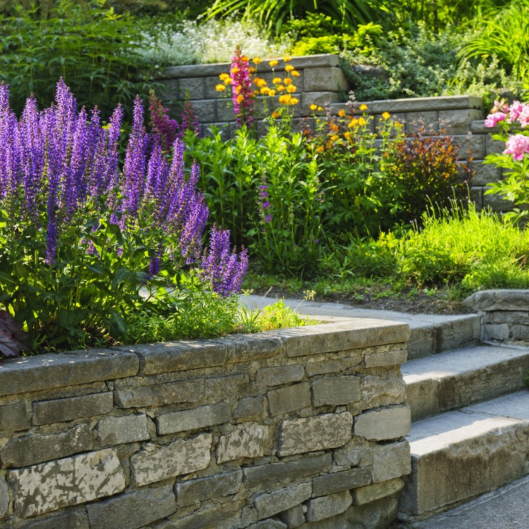 Lawn care services in Burke County, NC