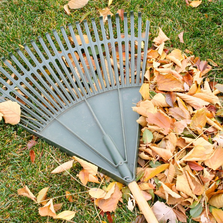 Lawn care services in Burke County, NC