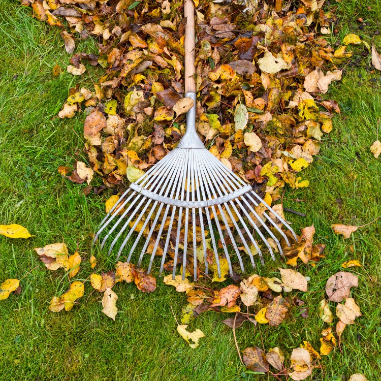 Lawn care services in Burke County, NC