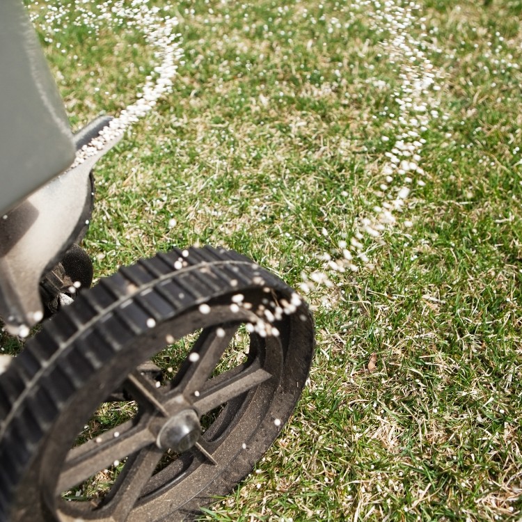 Lawn care services in Burke County, NC