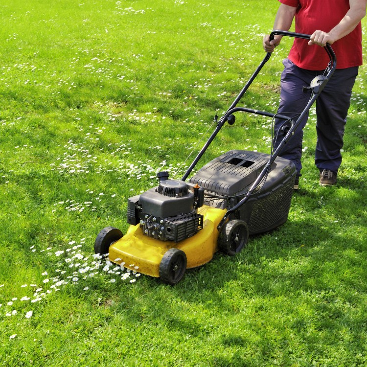 Lawn care services in Burke County, NC