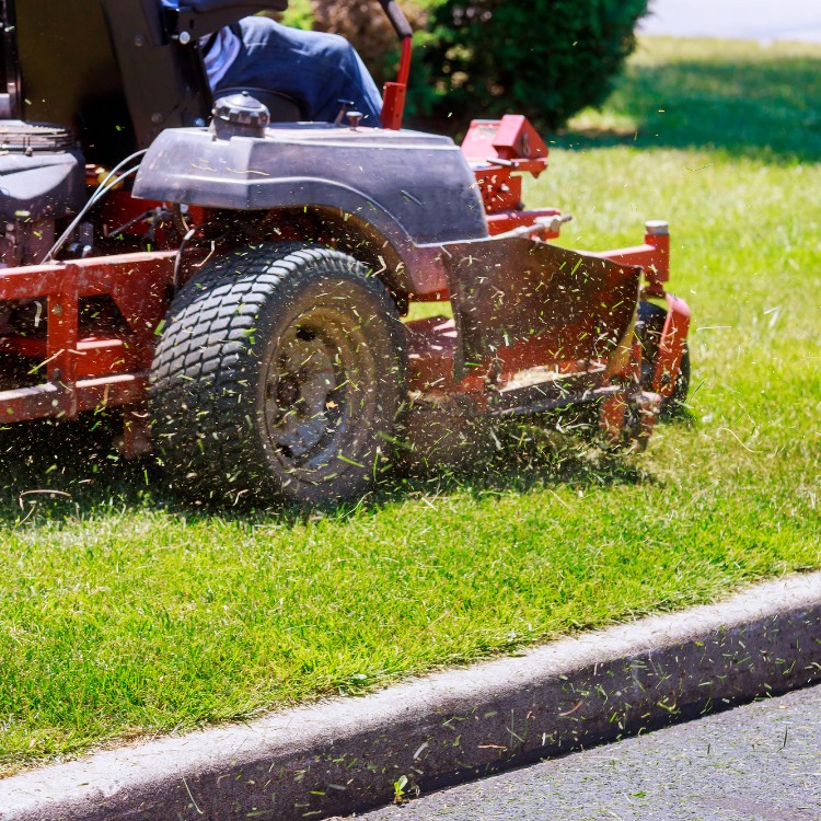 Lawn care services in Burke County, NC