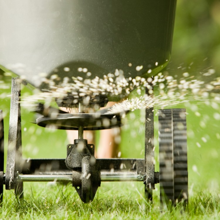 Lawn care services in Burke County, NC