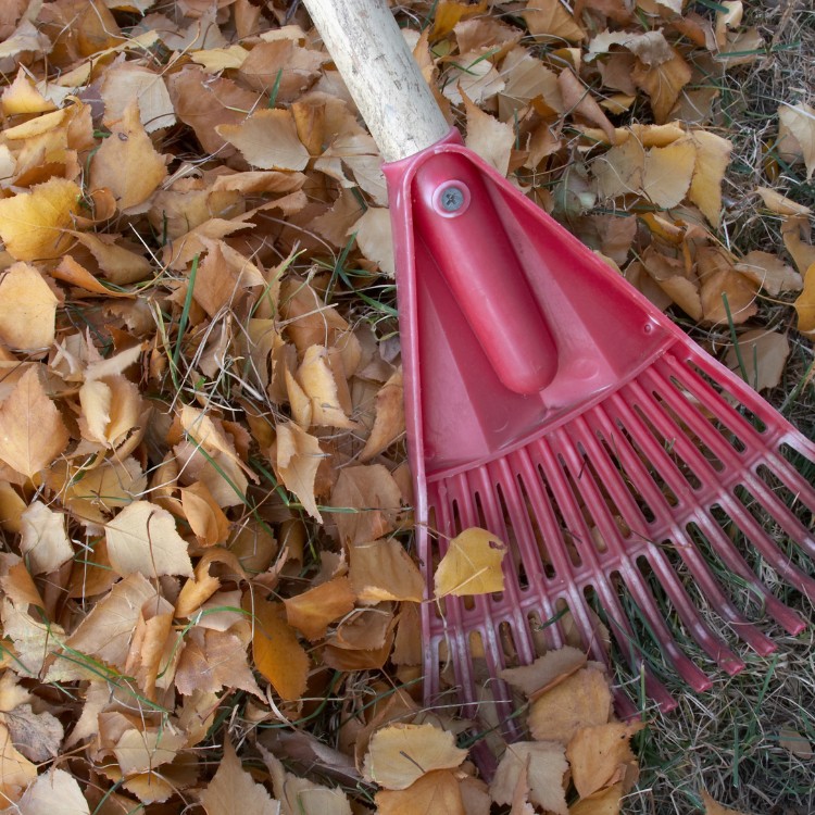 Lawn care services in Burke County, NC